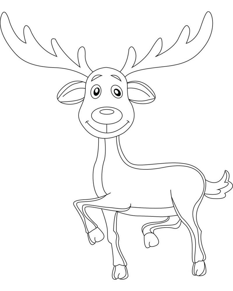 Coloriage Cerf des Bois